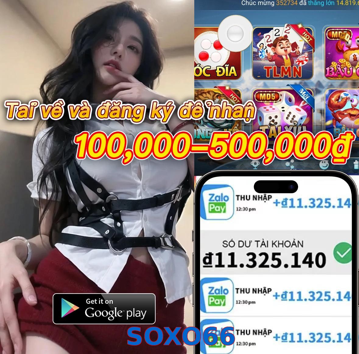 SOXO66