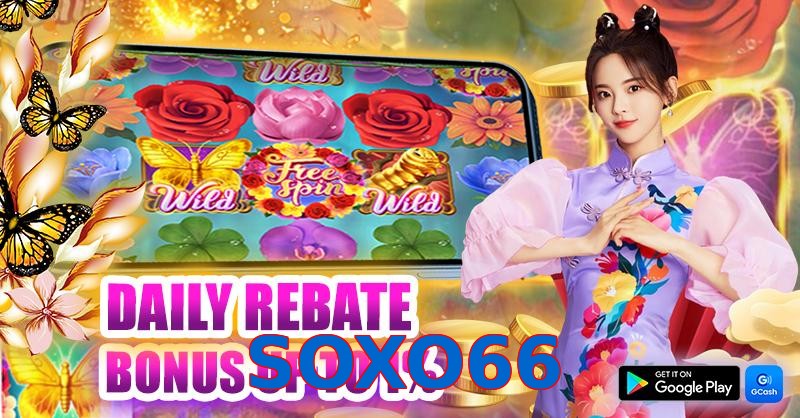 SOXO66
