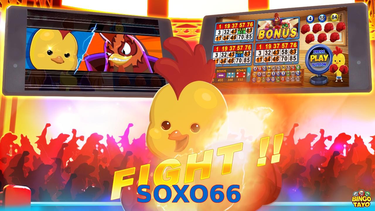 SOXO66