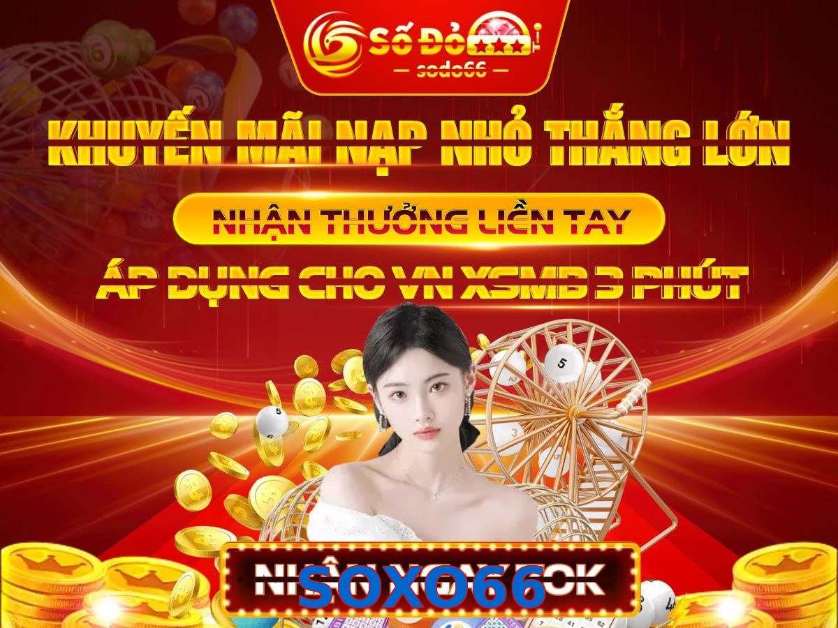 SOXO66