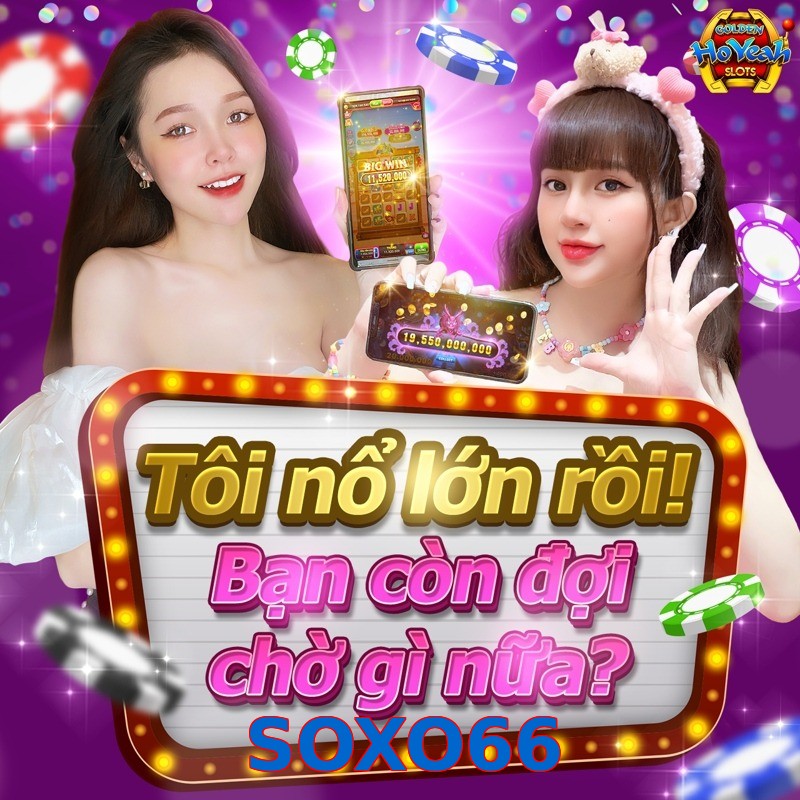 SOXO66