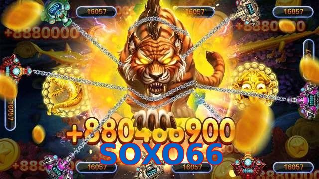 SOXO66