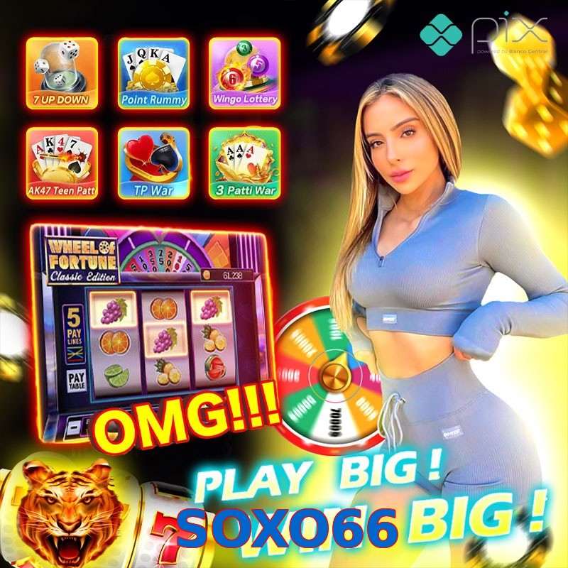 SOXO66