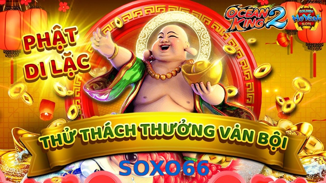 SOXO66