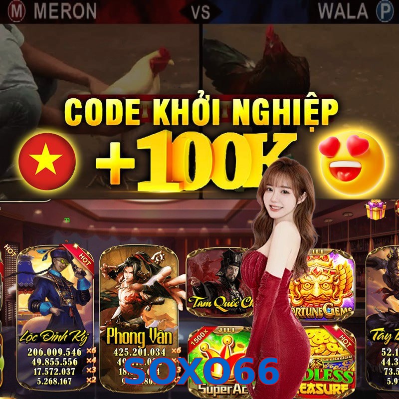SOXO66
